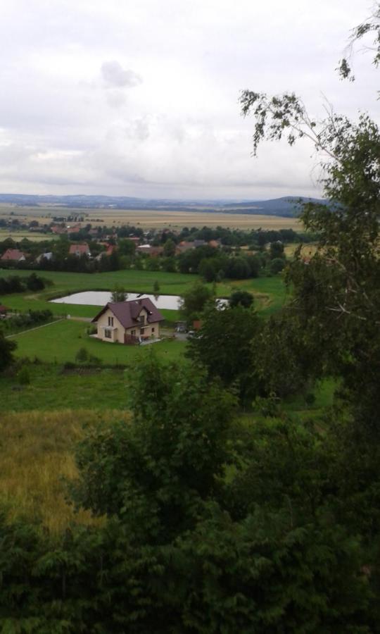 Dom Wypoczynkowy Pod Fortami Srebrna Gora Exterior photo